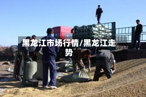 黑龙江市场行情/黑龙江走势