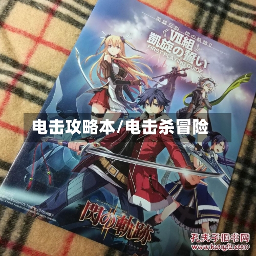 电击攻略本/电击杀冒险