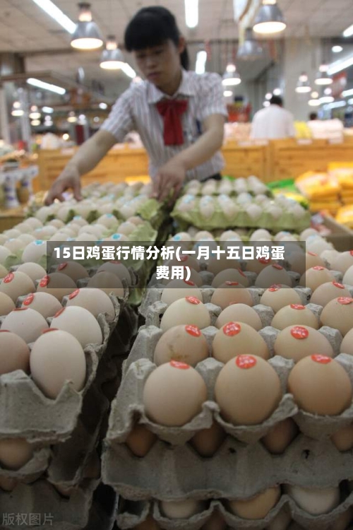 15日鸡蛋行情分析(一月十五日鸡蛋费用)
