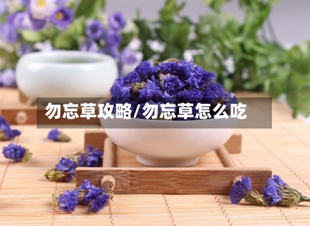 勿忘草攻略/勿忘草怎么吃