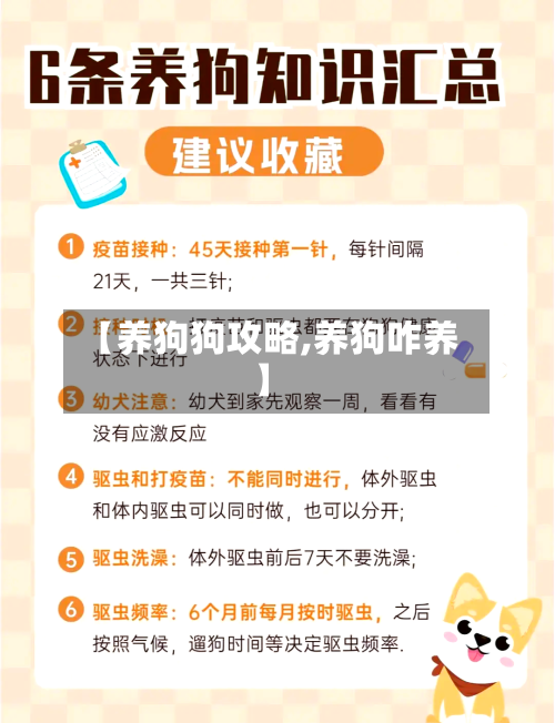 【养狗狗攻略,养狗咋养】