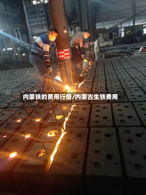 内蒙铁的费用行情/内蒙古生铁费用-第2张图片