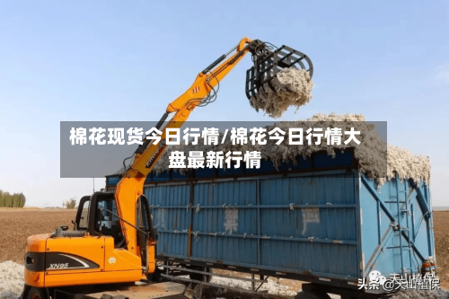 棉花现货今日行情/棉花今日行情大盘最新行情-第1张图片