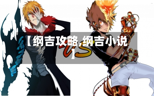 【纲吉攻略,纲吉小说】-第2张图片