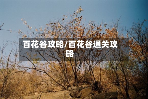 百花谷攻略/百花谷通关攻略-第2张图片