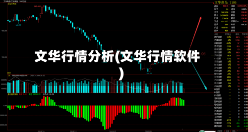 文华行情分析(文华行情软件)