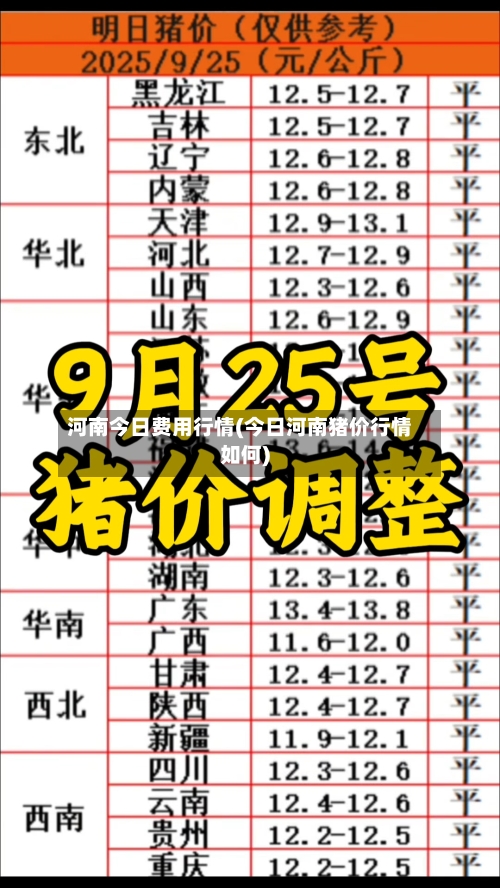 河南今日费用行情(今日河南猪价行情如何)-第2张图片