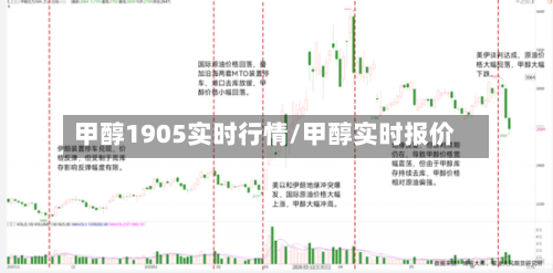 甲醇1905实时行情/甲醇实时报价