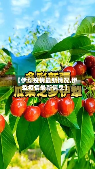 【伊犁疫情最新情况,伊犁疫情最新信息】-第2张图片