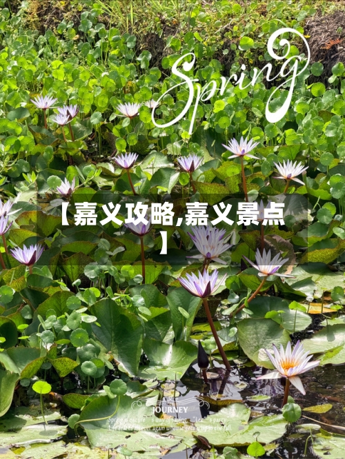 【嘉义攻略,嘉义景点】