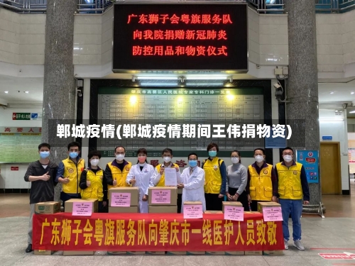 郸城疫情(郸城疫情期间王伟捐物资)