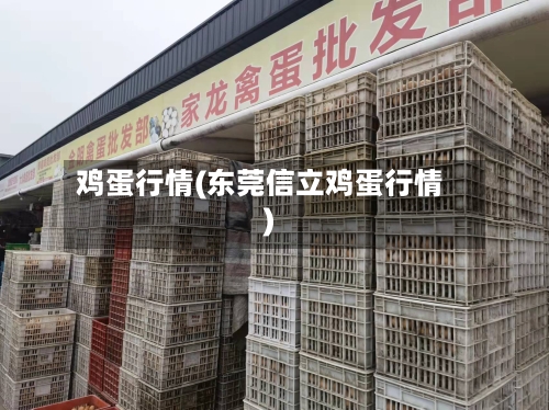 鸡蛋行情(东莞信立鸡蛋行情)