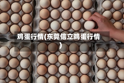 鸡蛋行情(东莞信立鸡蛋行情)-第2张图片