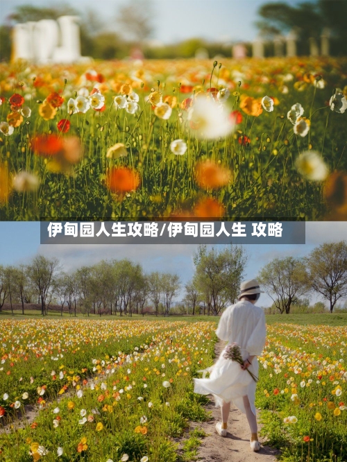 伊甸园人生攻略/伊甸园人生 攻略