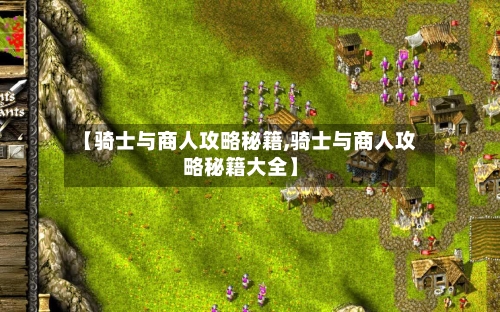 【骑士与商人攻略秘籍,骑士与商人攻略秘籍大全】-第3张图片