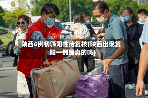 陕西6例初筛阳性待复核(陕西出现复阳一例是真的吗)-第2张图片
