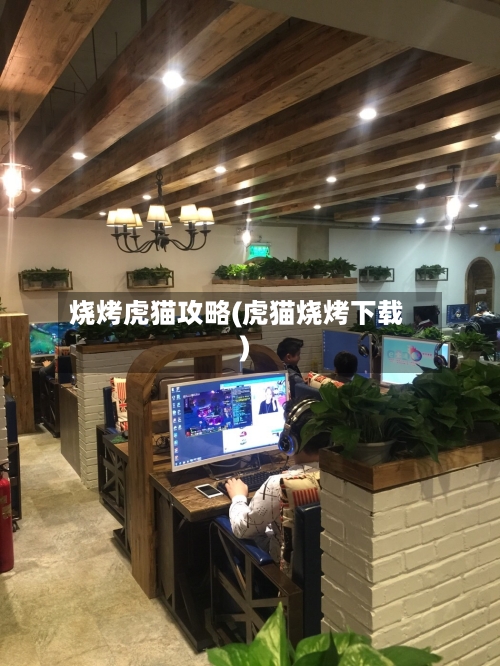 烧烤虎猫攻略(虎猫烧烤下载)-第2张图片