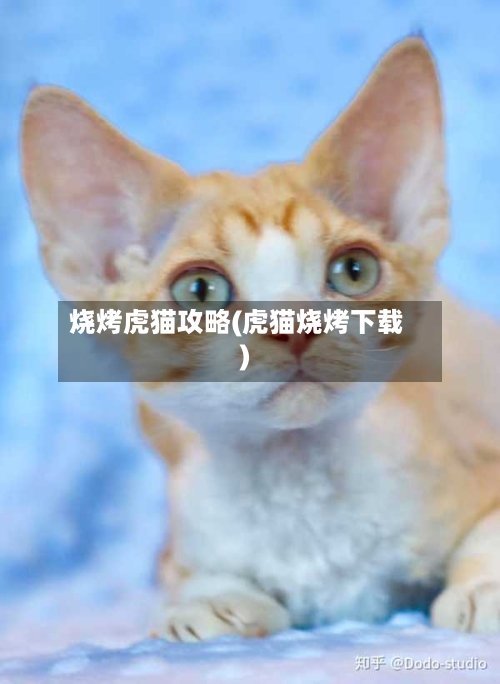 烧烤虎猫攻略(虎猫烧烤下载)-第3张图片