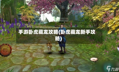 手游卧虎藏龙攻略(卧虎藏龙新手攻略)