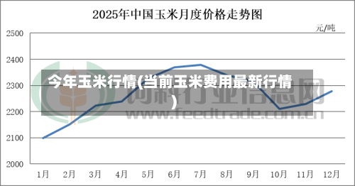 今年玉米行情(当前玉米费用最新行情)