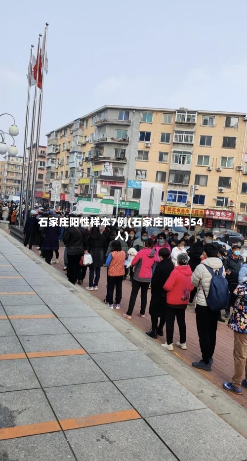 石家庄阳性样本7例(石家庄阳性354人)