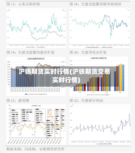 沪锡期货实时行情(沪铁期货交易实时行情)