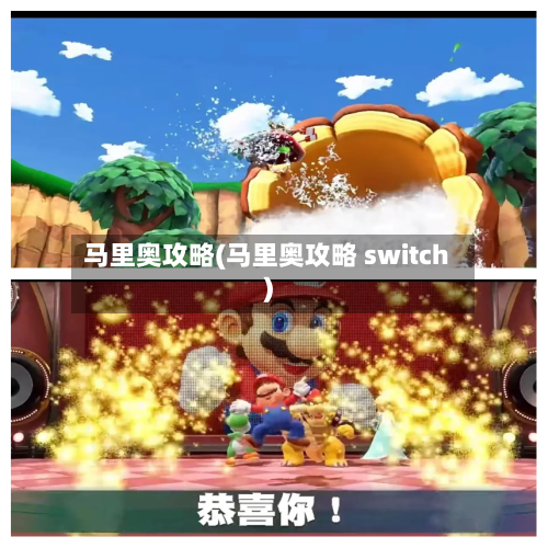 马里奥攻略(马里奥攻略 switch)