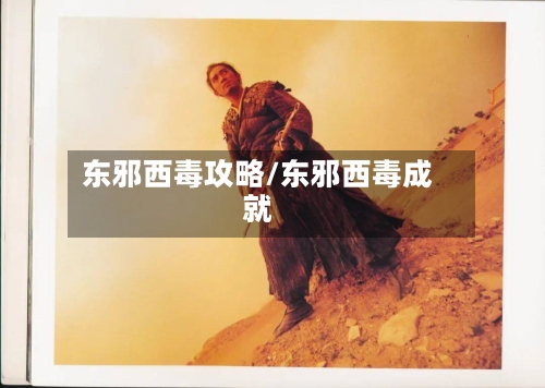 东邪西毒攻略/东邪西毒成就