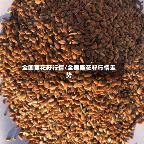 全国葵花籽行情/全国葵花籽行情走势-第1张图片
