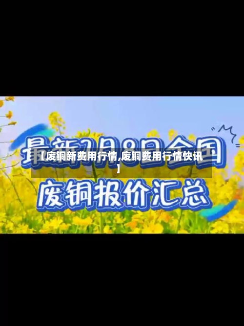 【废铜新费用行情,废铜费用行情快讯】-第2张图片