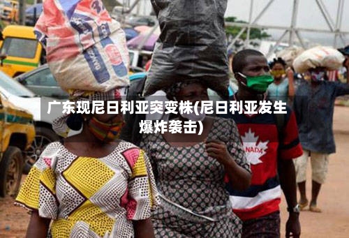 广东现尼日利亚突变株(尼日利亚发生爆炸袭击)