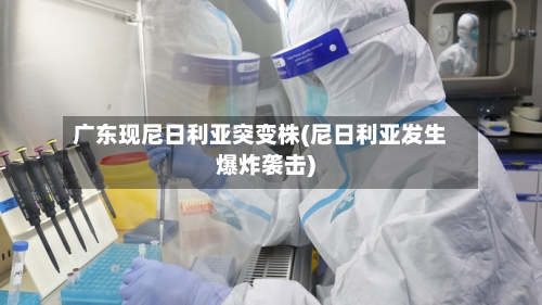 广东现尼日利亚突变株(尼日利亚发生爆炸袭击)-第2张图片