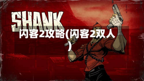 闪客2攻略(闪客2双人)-第1张图片