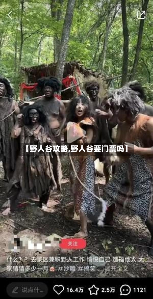 【野人谷攻略,野人谷要门票吗】-第1张图片