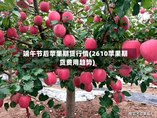 端午节后苹果期货行情(2610苹果期货费用趋势)-第1张图片