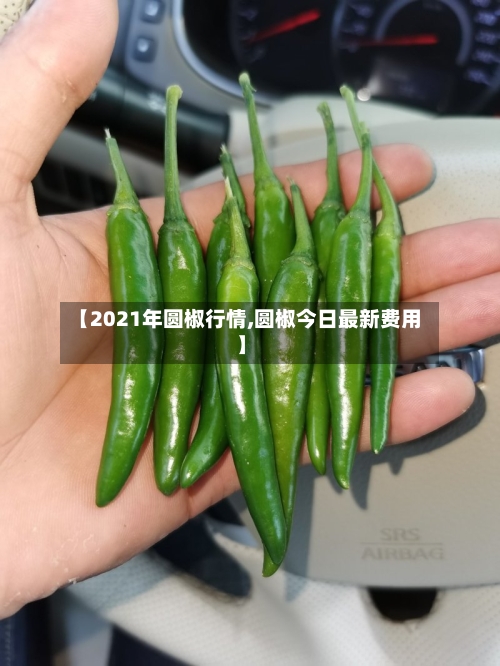 【2021年圆椒行情,圆椒今日最新费用】-第1张图片