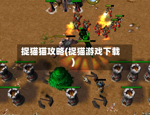 捉猫猫攻略(捉猫游戏下载)-第2张图片