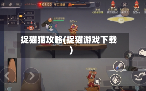 捉猫猫攻略(捉猫游戏下载)-第1张图片