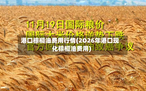 港口棕榈油费用行情(2O26年港口现化棕榈油费用)-第1张图片