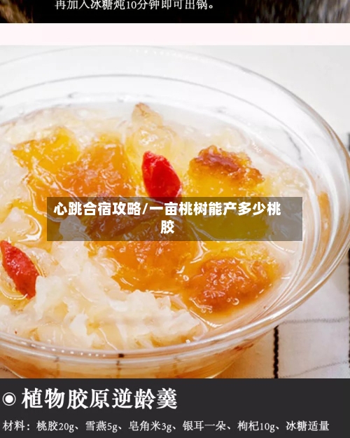 心跳合宿攻略/一亩桃树能产多少桃胶-第1张图片