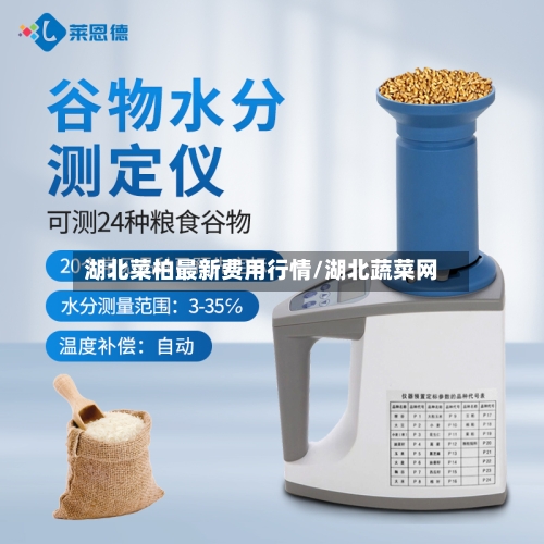 湖北菜柏最新费用行情/湖北蔬菜网