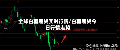 全球白糖期货实时行情/白糖期货今日行情走势-第1张图片