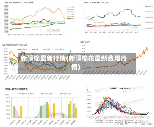 新疆棉最新行情(新疆棉花最新费用行情)-第1张图片