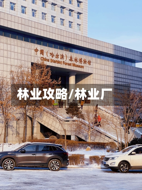林业攻略/林业厂-第1张图片