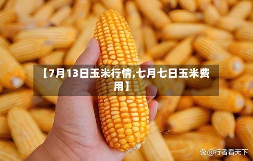 【7月13日玉米行情,七月七日玉米费用】-第1张图片