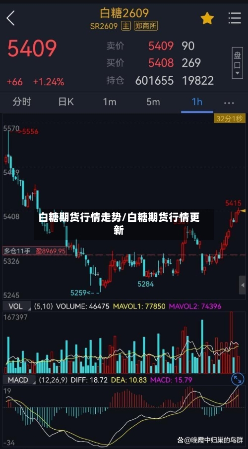 白糖期货行情走势/白糖期货行情更新-第1张图片