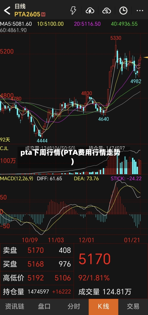 pta下周行情(PTA费用行情走势)-第1张图片