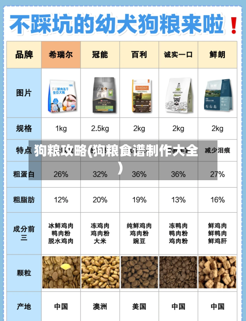 狗粮攻略(狗粮食谱制作大全)-第2张图片