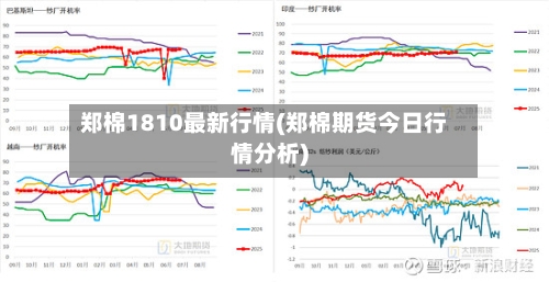 郑棉1810最新行情(郑棉期货今日行情分析)-第1张图片