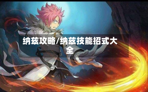 纳兹攻略/纳兹技能招式大全-第1张图片
